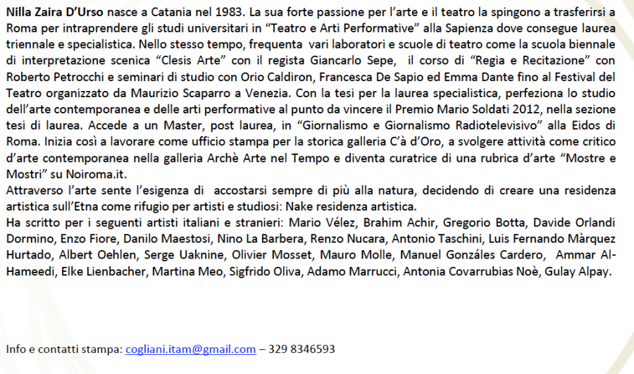 Schermata 2014-10-02 alle 20.36.38