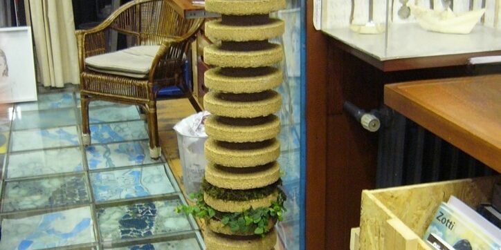 Colonna libreria Bocca