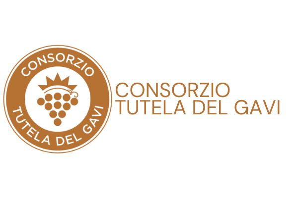consorzio tutela del gavi