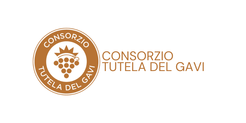 consorzio tutela del gavi