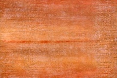 shin-on-92036-cm-60-8x61-2_1992