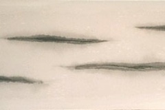 shin-on-99006-cm-65-5x200_1999