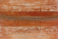 shin-on-04058-cm-40x40_2004