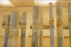 1995_apollonia2